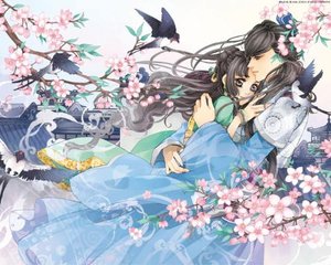 大象官网下载